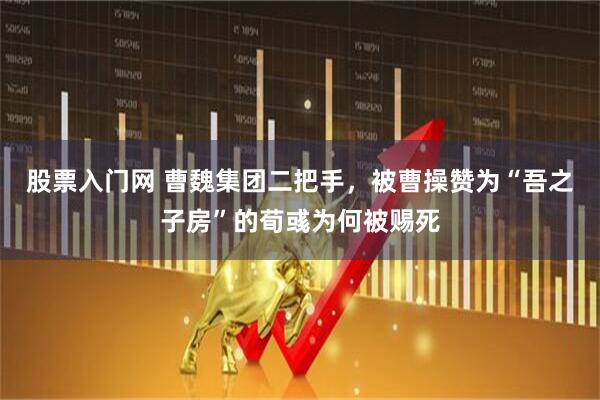 股票入门网 曹魏集团二把手,被曹操赞为“吾之子房”的荀彧为何被赐死